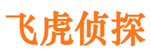 湖口市私家侦探